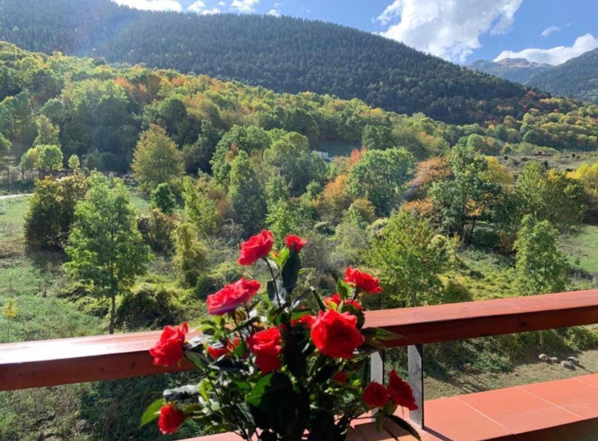 Apartaran 407 Con Terraza Betrén Exteriör bild
